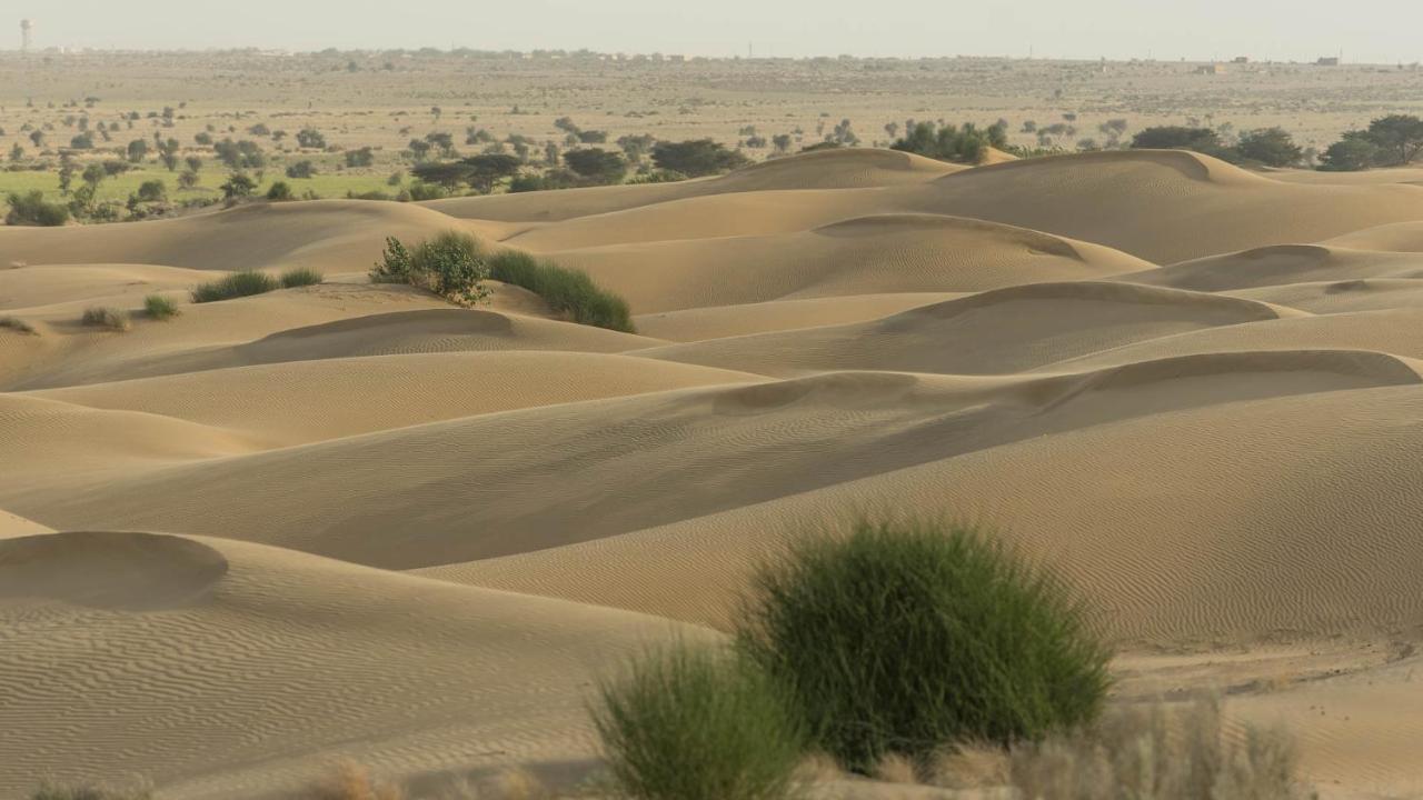 Hotel Helsinki House Jaisalmer Dış mekan fotoğraf